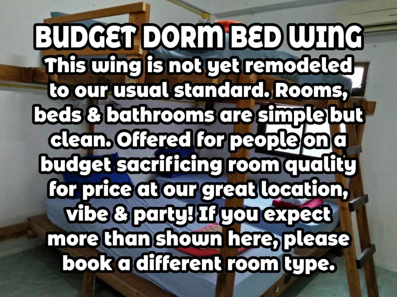 Wild & Wandering Backpacker Hostel & Bar Haad Rin Pokoj fotografie